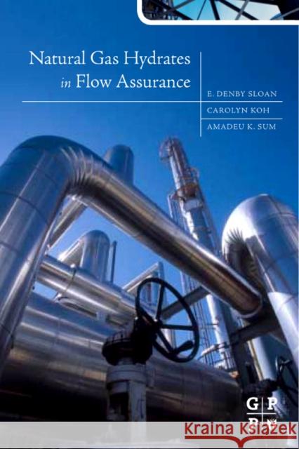 Natural Gas Hydrates in Flow Assurance Carolyn Koh 9781856179454  - książka