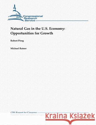 Natural Gas in the U.S. Economy: Opportunities for Growth Robert Pirog Michael Ratner 9781481063876 Createspace - książka