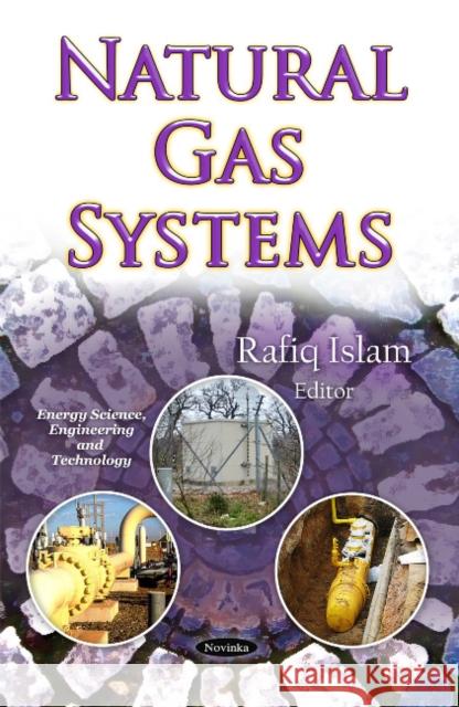 Natural Gas Systems Rafiq Islam 9781613241585 Nova Science Publishers Inc - książka