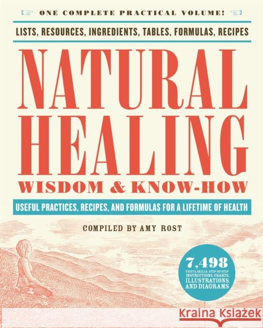 Natural Healing Wisdom & Know How: Useful Practices, Recipes, and Formulas for a Lifetime of Health Amy Rost 9780316276979 Black Dog & Leventhal Publishers - książka
