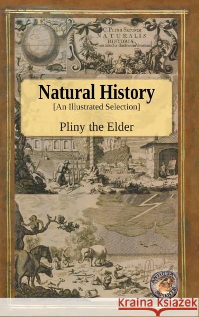 Natural History - An Illustrated Selection Pliny Secundus John Bostock Henry T. Riley 9781989586693 Antiqua Sapientia - książka