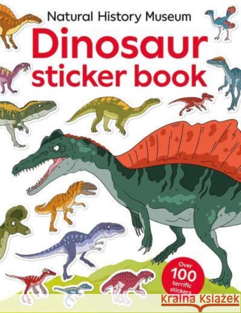 Natural History Museum Dinosaur Sticker Book Natural History Museum 9780565095475 The Natural History Museum - książka