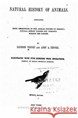 Natural History of Animals Sanborn Tenney 9781535186766 Createspace Independent Publishing Platform - książka