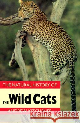 Natural History of the Wild Cats Andrew Kitchener 9780801484988 Cornell University Press - książka