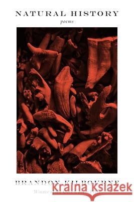 Natural History: Poems Brandon Kilbourne 9781644453674 Graywolf Press - książka