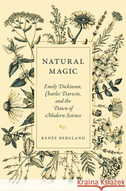 Natural Magic: Emily Dickinson, Charles Darwin, and the Dawn of Modern Science  9780691235288 Princeton University Press - książka