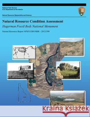 Natural Resource Condition Assessment: Hagerman Fossil Beds National Monument: Natural Resource Report NPS/UCBN/NRR?2012/599 Erixson, John a. 9781492758303 Createspace - książka