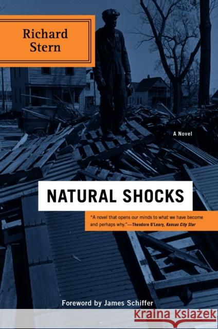 Natural Shocks Richard Stern James Schiffer 9780810151475 Triquarterly Books - książka