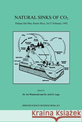 Natural Sinks of Co2: Palmas del Mar, Puerto Rico, 24-27 February 1992 Wisniewski, Joe 9789401052405 Springer - książka