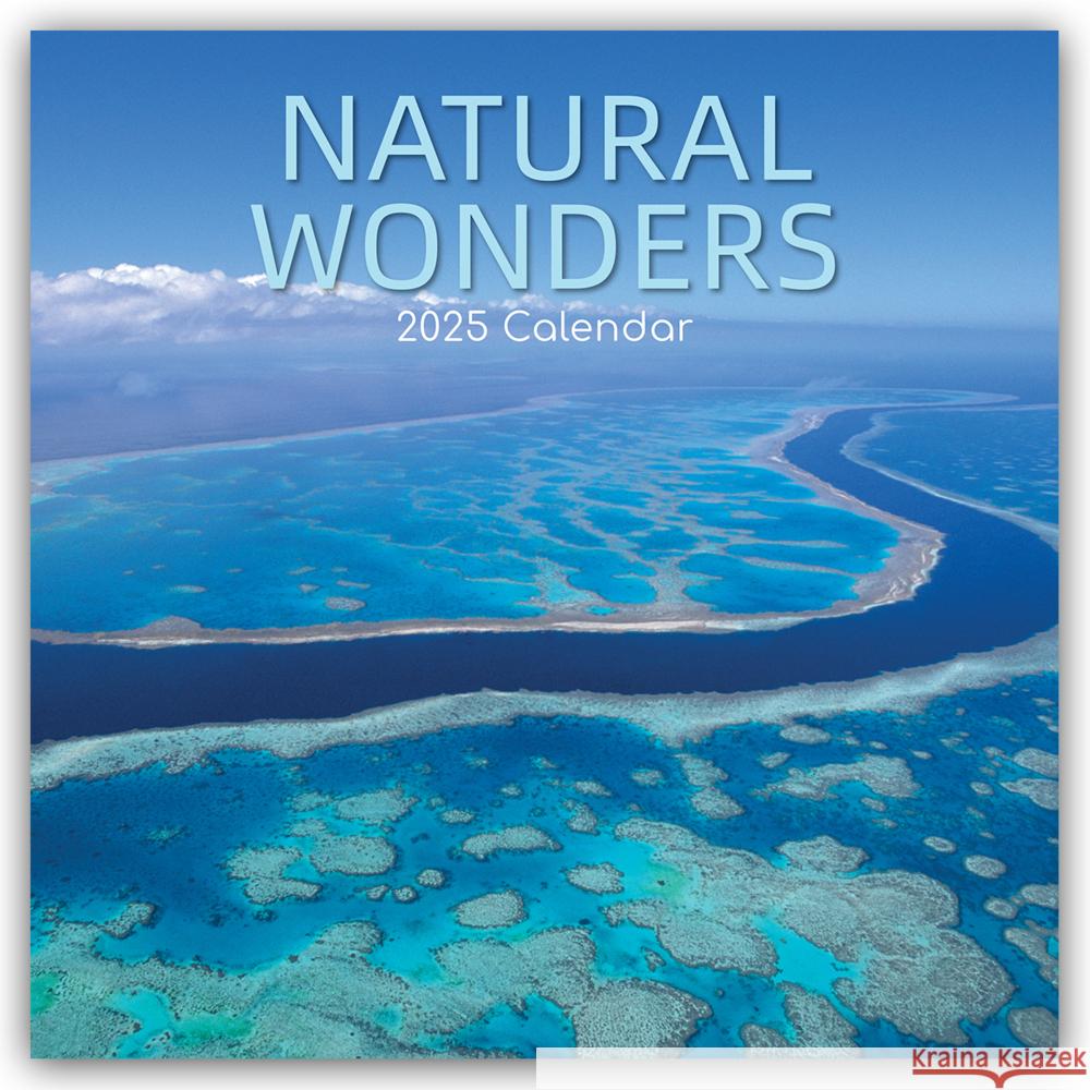 Natural Wonders - Naturwunder 2025 - 16-Monatskalender The Gifted Stationery Co. Ltd 9781835361375 Flechsig - książka