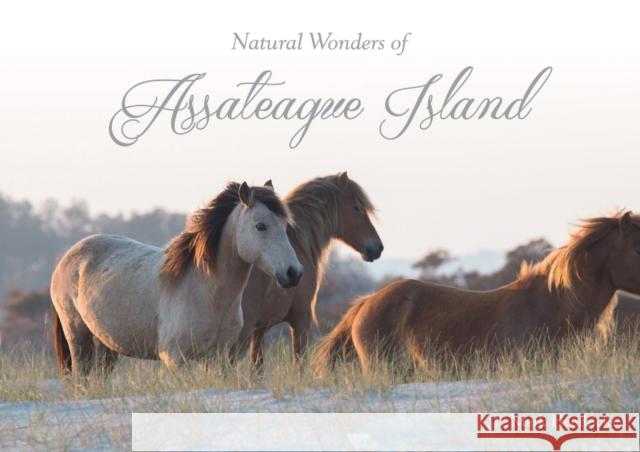 Natural Wonders of Assateague Island Mark Hendricks 9780764353406 Schiffer Publishing - książka