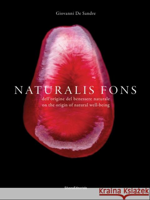 Naturalis Fons: On the Origin of Natural Well-Being Cappelletti, Elsa Mariella 9788836644636 Silvana - książka