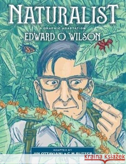 Naturalist: A Graphic Adaptation Edward O. Wilson Jim Ottaviani C. M. Butzer 9781610919586 Island Press - książka