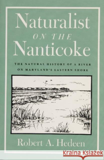 Naturalist on the Nanticoke: The Natural History of a River on Maryland's Eastern Shore Robert A. Hedeen 9780870334672 Tidewater Publishers - książka