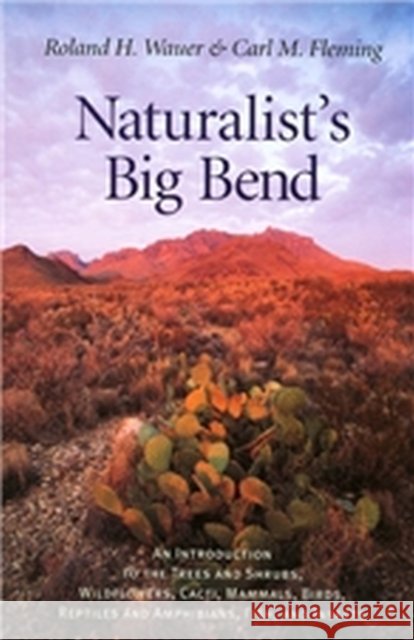 Naturalist's Big Bend: An Introduction to the Trees and Shrubs, Wildflowers, Cacti, Mammals, Birds, Reptiles and Amphibians, Fish, and Insect Wauer, Roland H. 9781585441556 Texas A&M University Press - książka