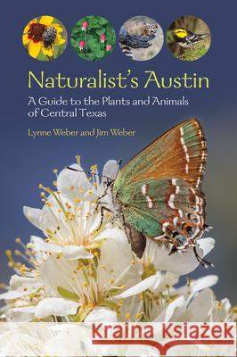 Naturalist's Austin: A Guide to the Plants and Animals of Central Texas Jim Weber 9781648431692 Texas A & M University Press - książka