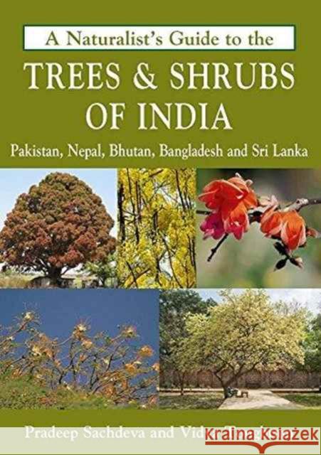 Naturalist's Guide to the Trees & Shrubs of India Pradeep Sachdeva 9781909612822 John Beaufoy Publishing Ltd - książka