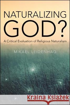 Naturalizing God? Leidenhag, Mikael 9781438484419 State University of New York Press - książka