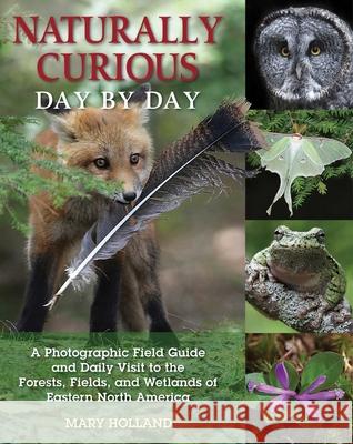 Naturally Curious Day by Day: A Photographic Field Guide and Daily Visit to the Forests, Fields, and Wetlands of Eastern North America Mary Holland 9780811714129 Stackpole Books - książka