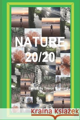 Nature 20/20 Brian M. Falconer Konnie Risinger Mariangela Canzi 9781658033138 Independently Published - książka