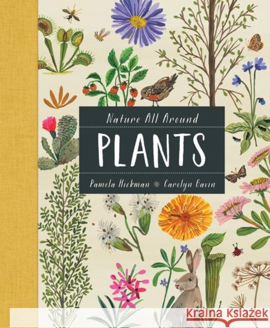 Nature All Around: Plants Pamela Hickman Carolyn Gavin 9781771388191 Kids Can Press - książka