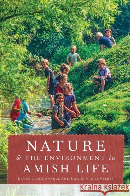 Nature and the Environment in Amish Life David L. McConnell Marilyn D. Loveless 9781421426167 Johns Hopkins University Press - książka