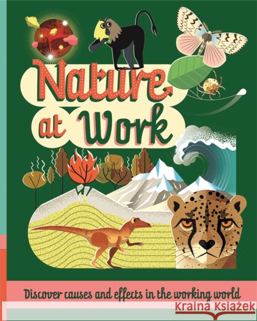 Nature at Work Paul Mason 9781526315960 FRANKLIN WATTS - książka