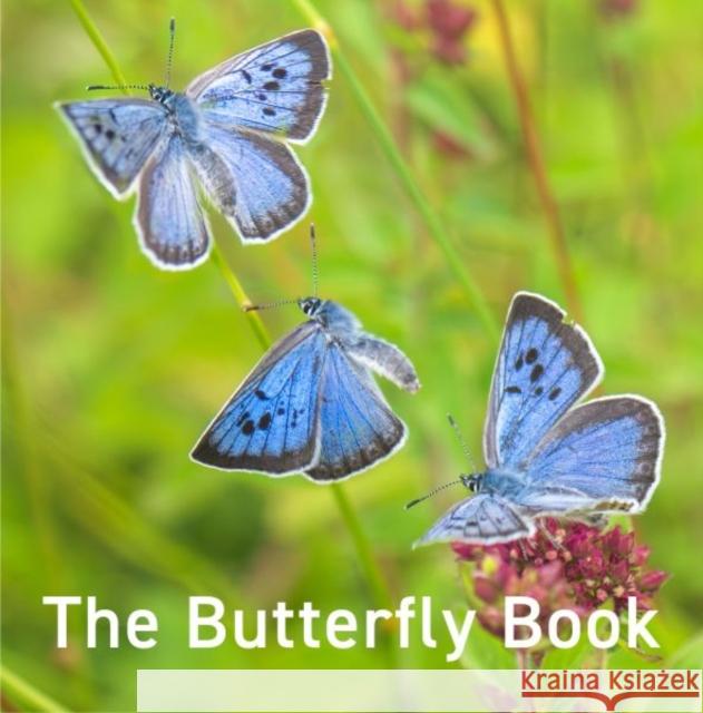 Nature Book Series: The Butterfly Book Andrew Fusek Peters 9781802586541 Graffeg Limited - książka