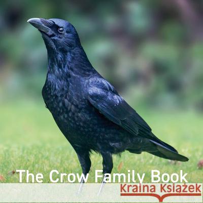 Nature Book Series: The Crow Family Book Jane Russ 9781802583564 Graffeg Limited - książka