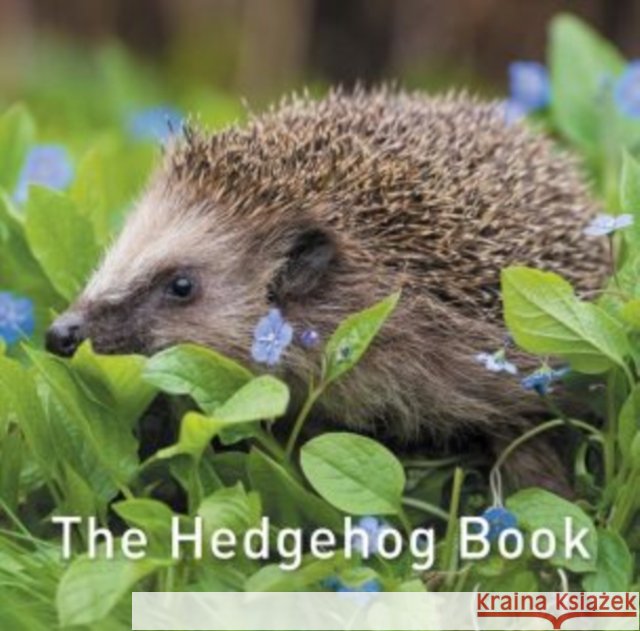 Nature Book Series: The Hedgehog Book Hugh Warwick 9781913134419 Graffeg Limited - książka