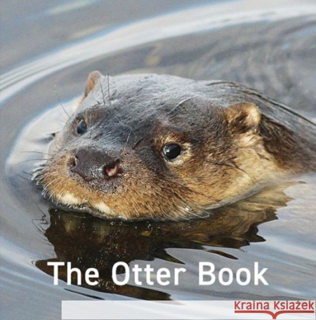 Nature Book Series: The Otter Book Jo Byrne 9781802580822 Graffeg Limited - książka