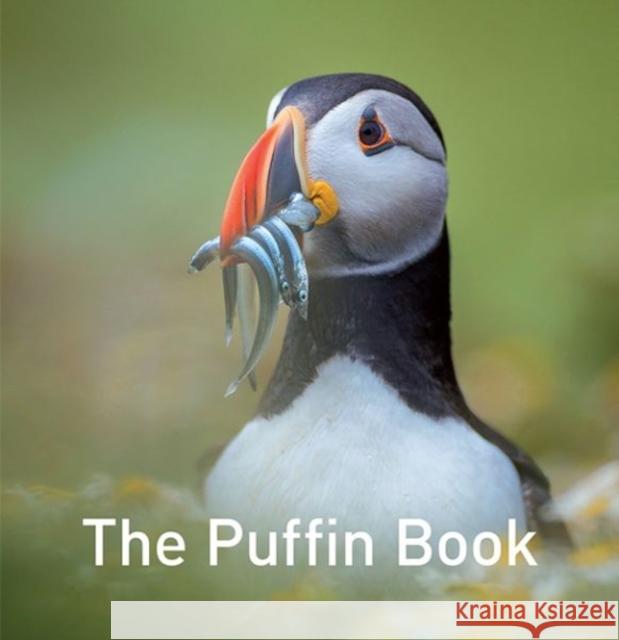 Nature Book Series, The: The Puffin Book Drew Buckley 9781912654796 Graffeg Limited - książka