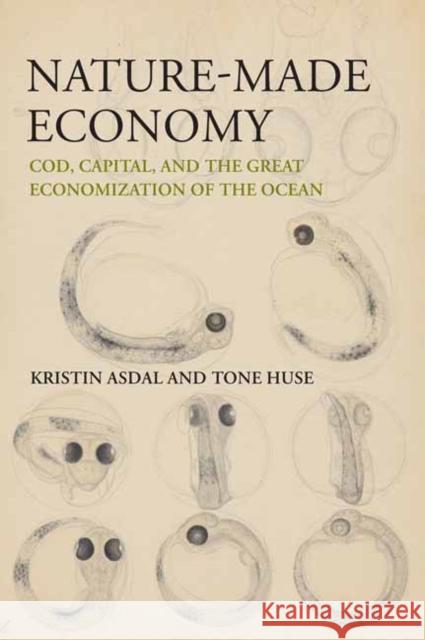 Nature-Made Economy: Cod, Capital, and the Great Economization of the Ocean Asdal, Kristin 9780262545525 MIT Press Ltd - książka