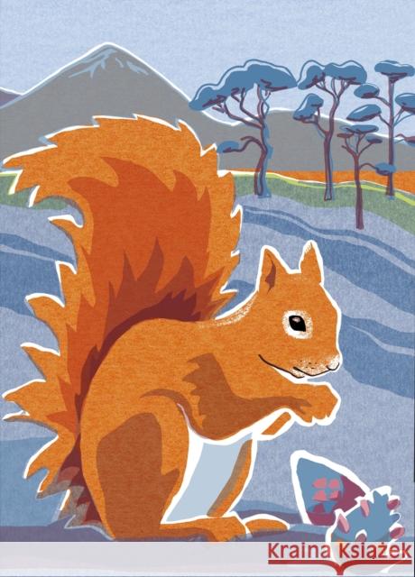 Nature Notebook: Red Squirrel Jane Smith 9781780278223 Birlinn General - książka