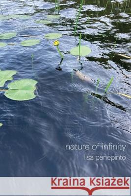 nature of infinity Lisa Panepinto 9781963908978 Spuyten Duyvil - książka