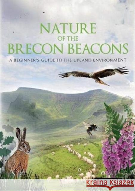 Nature of the Brecon Beacons: A Beginners Guide to the Upland Environment Kevin Walker   9781906095659 Pesda Press - książka