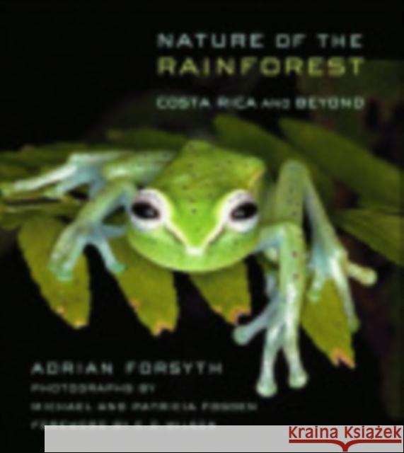 Nature of the Rainforest: Costa Rica and Beyond Forsyth, Adrian 9780801474750 Cornell University Press - książka