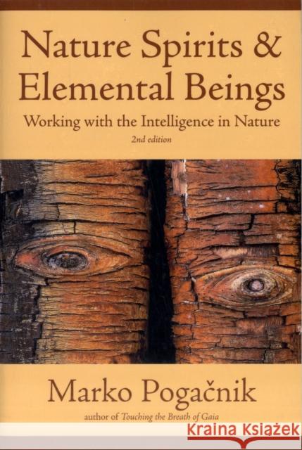 Nature Spirits and Elemental Beings: Working with the Intelligence in Nature Marko Pogacnik 9781844091751 Findhorn Press Ltd - książka