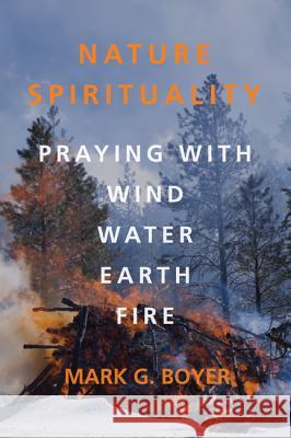 Nature Spirituality: Praying with Wind, Water, Earth, Fire Boyer, Mark G. 9781625644343 Resource Publications (OR) - książka