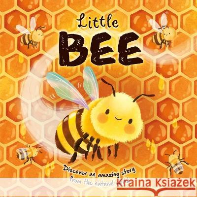 Nature Stories: Little Bee: Padded Board Book Igloobooks                               Gisela Boh?rquez 9781803684123 Igloo Books - książka