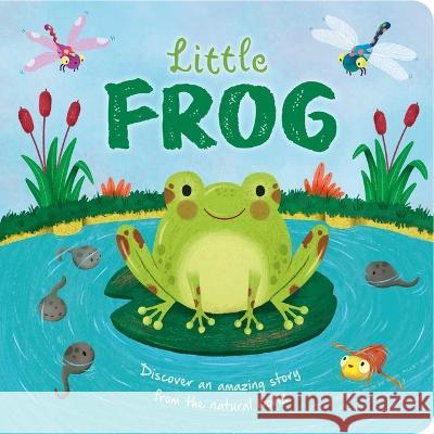 Nature Stories: Little Frog: Padded Board Book Igloobooks                               Gisela Boh?rquez 9781837716708 Igloo Books - książka