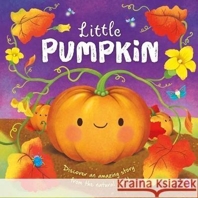 Nature Stories: Little Pumpkin: Padded Board Book Igloobooks                               Gisela Boh?rquez 9781803684406 Igloo Books - książka