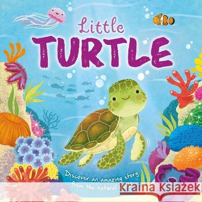 Nature Stories: Little Turtle: Padded Board Book Igloobooks                               Gisela Boh?rquez 9781803684130 Igloo Books - książka