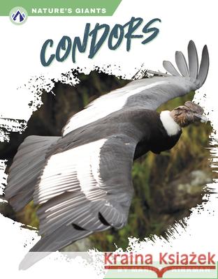 Nature's Giants: Condors Marissa Kirkman 9781637389331 Apex / Wea Int'l - książka