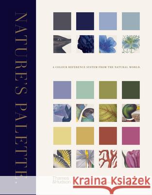 Nature's Palette: A colour reference system from the natural world Patrick Baty Peter Davidson Elaine Charwat 9780500252468 Thames & Hudson Ltd - książka