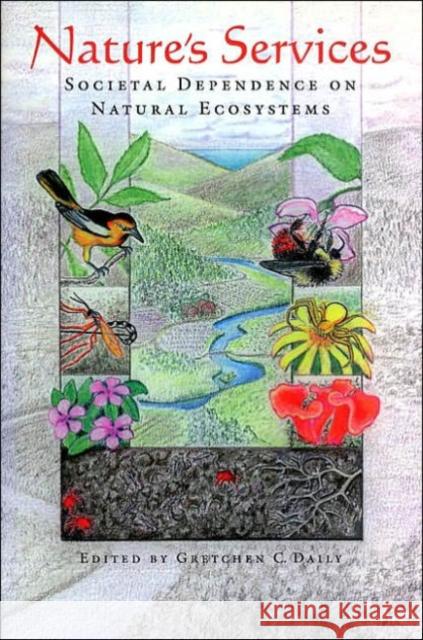 Nature's Services: Societal Dependence on Natural Ecosystems Daily, Gretchen Cara 9781559634762 Island Press - książka