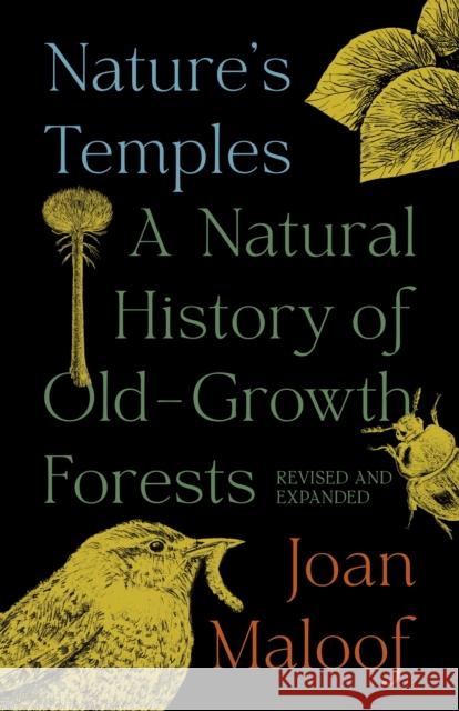 Nature's Temples: A Natural History of Old-Growth Forests Revised and Expanded Joan Maloof 9780691230504 Princeton University Press - książka