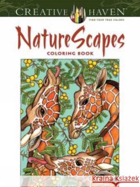 NatureScapes Patricia J. Wynne 9780486494500 Dover Publications - książka