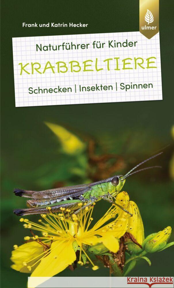 Naturführer für Kinder: Krabbeltiere Hecker, Frank und Katrin 9783818616090 Verlag Eugen Ulmer - książka