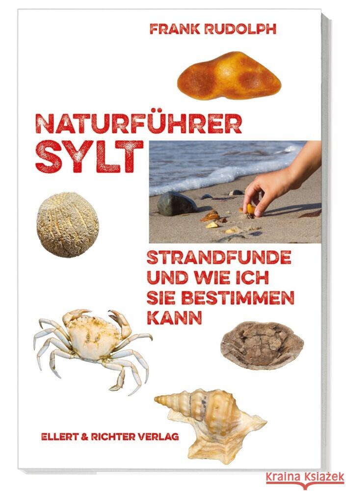 Naturführer Sylt Rudolph, Frank 9783831908752 Ellert & Richter - książka